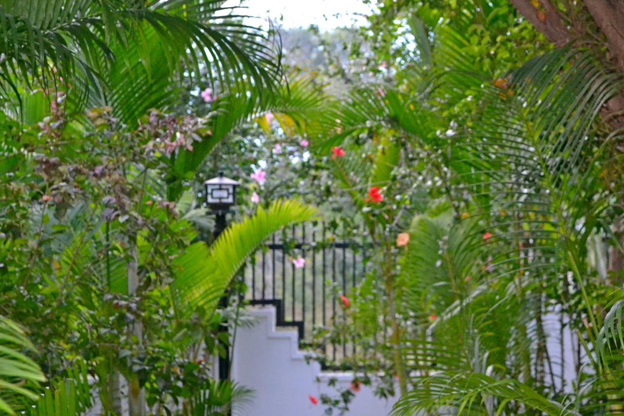 Nature Boutique Residence Siem Reap Buitenkant foto